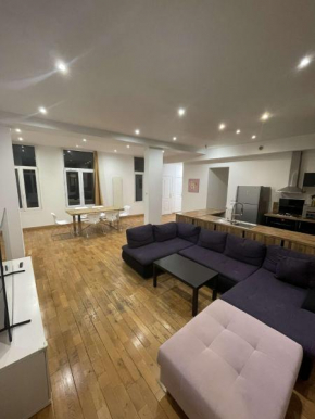 Appart 7 personnes centre-ville